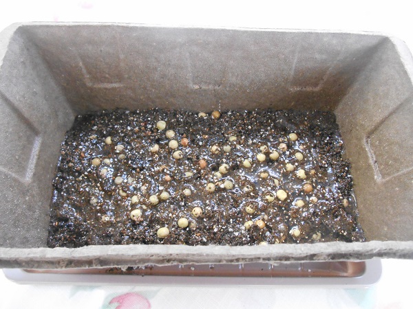 主任の一人農業